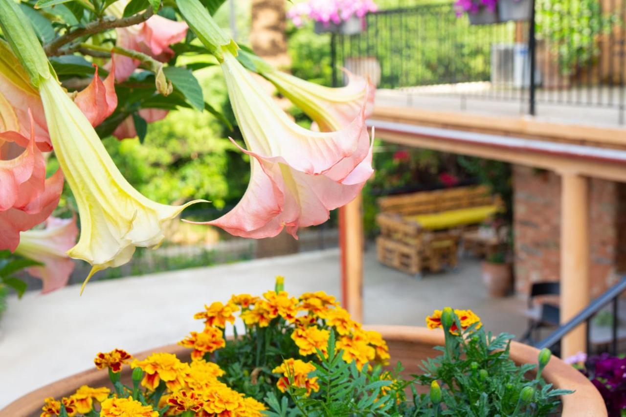 Casa Arokaria Apartment Petaliana Ngoại thất bức ảnh
